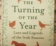 The Turning Of The Year: Lore And Legends Of The Irish Seasons by Eithne Massey