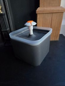 Cat water fountain and delayed feeder