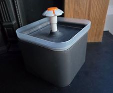Cat water fountain and delayed feeder