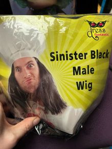 Fancy Dress Wig