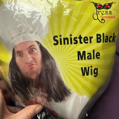 Fancy Dress Wig