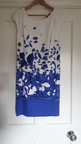 Dunnes Dress Size 8