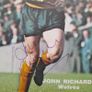 John Richards Wolves Signed Annual Picture Image 2