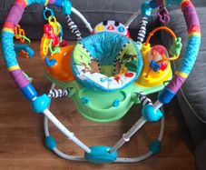 Baby Einstein Neighbourhood Friends Activity Jumper
