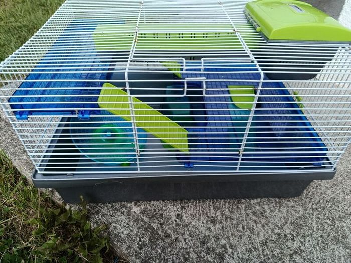 Hamster cage