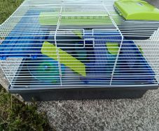 Hamster cage