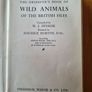 Observer's Book Of Wild Animals Of The British Isles.  Compiled By  W J Stoke.1. Image 3
