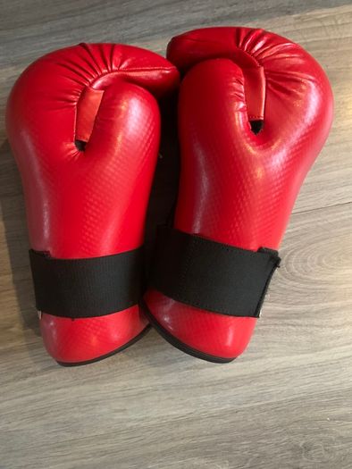 Taekwondo Sparring gear