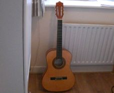 Herald Guitar