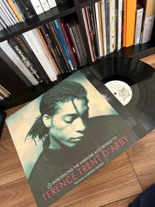 Terrence Trent Darby The Hard Line vinyl