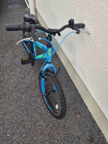 Boys 20 Inch Bike