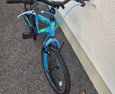 Boys 20 Inch Bike