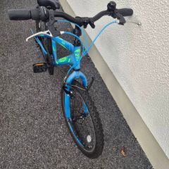 Boys 20 Inch Bike