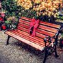 Garden Benches (Free Local Delivery) Image 3