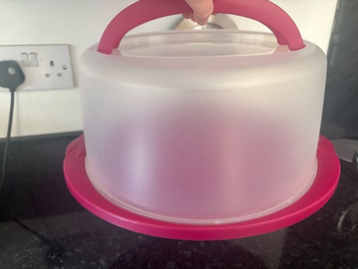 Cake Transporter/ Case