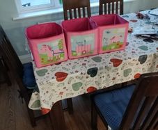 Girls storage boxes