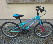 Free kids bikes