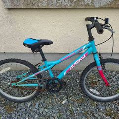 Free kids bikes