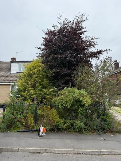 Gardening & Tree Service