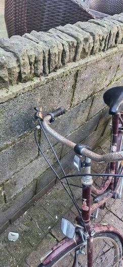 bikes