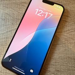 iPhone 13 Pro Max - 256Gb - Sim Free
