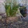 Fish tank Image 3