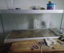 fish tank