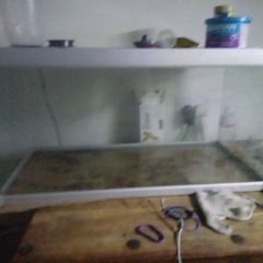 fish tank