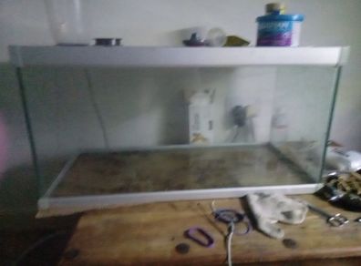 fish tank