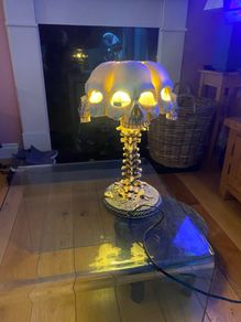 Skull lamp with spine .