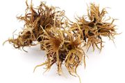 DIM Turkish hazel 3pcs