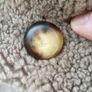 Vintage Hea Tona Shearling Coat Image 7