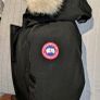 Canada Goose Bomber Image 5
