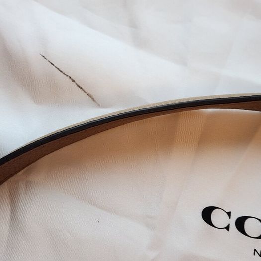 coach handbag (authentic)