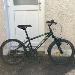Boys 20 inch bike