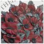 The Poppy Coin, Free Post Image 2
