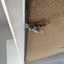 Single Loft Bed with Desk Image 2
