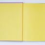 "Garden Colour: Choosing Stunning Colour Combinations for Your Garden" by Sue Fisher  hardback 2003 Image 2