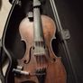 Violin Image 8