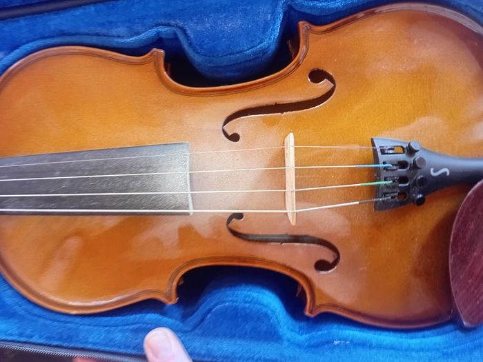 Stentor Violin