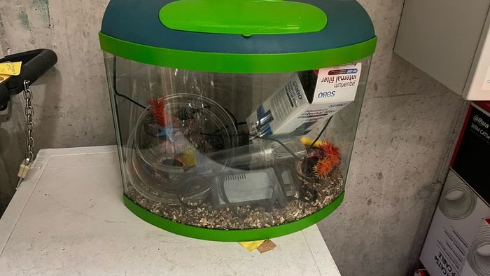 Fish Tanl