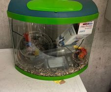 Fish Tanl