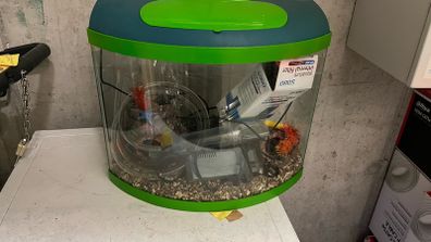 Fish Tanl