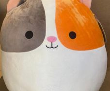 Squishmallow
