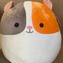 Squishmallows Bundle Image 10