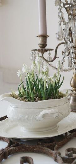 ShabbyChic Old Vintage Display Piece..
