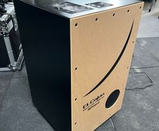 Roland EL Cajon & Case