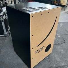 Roland EL Cajon & Case