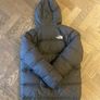 the north face coat Image 2