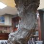 Bog Oak Sentinel_Bog Oak Table Lamp Image 3